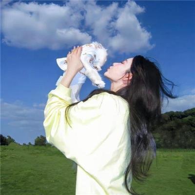 哈莱姆的郁金香