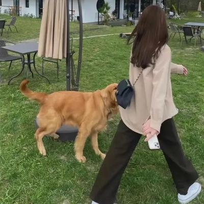 断了线